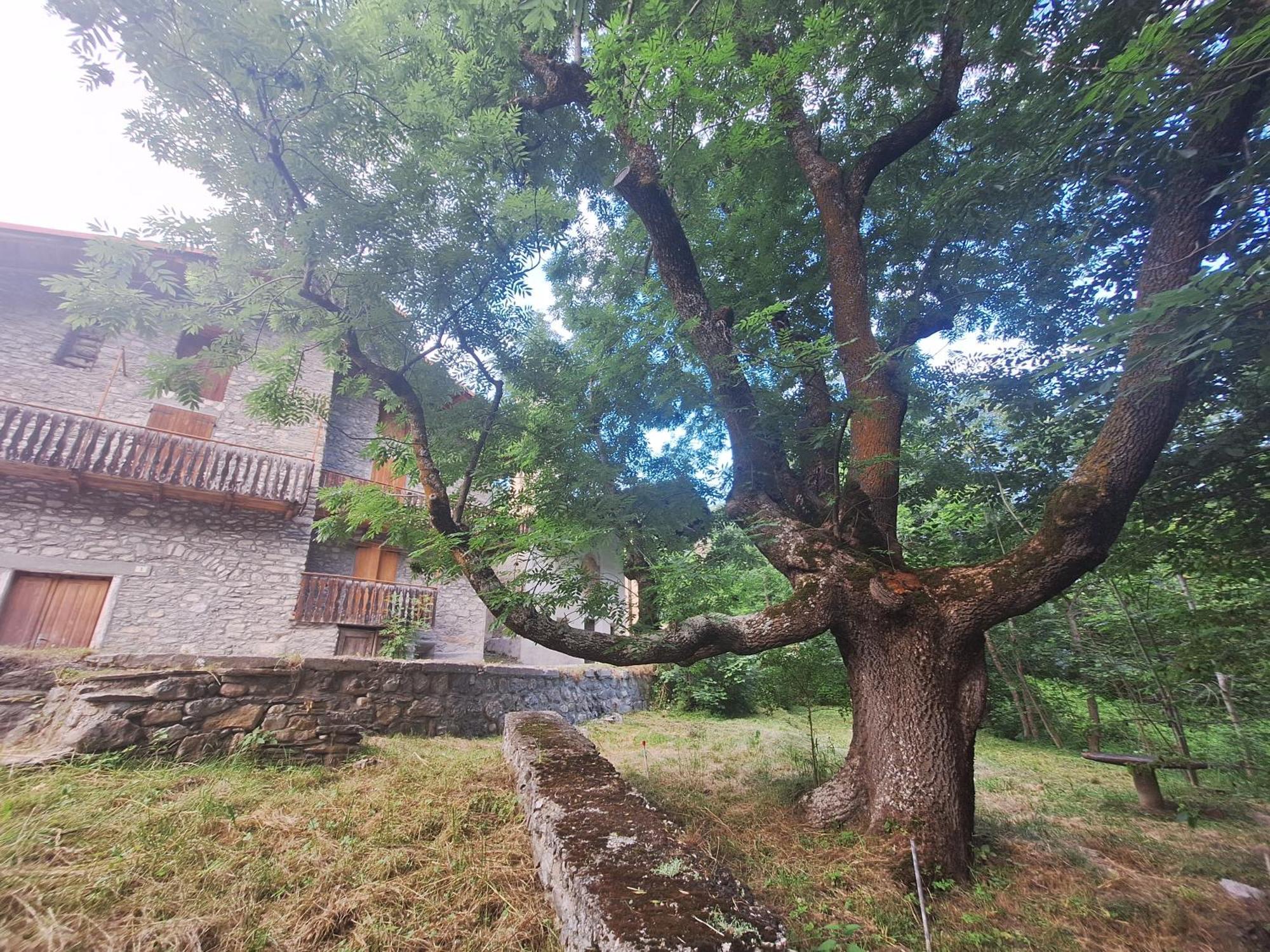 アッチェリョLa Casa Del Gigante Frassinoアパートメント エクステリア 写真